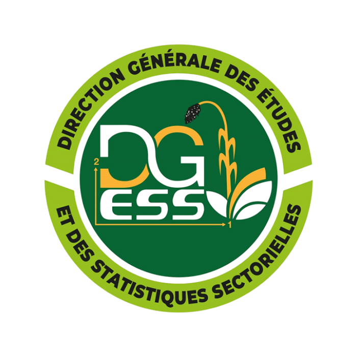 Direction Générale des Études et des Statistiques Sectorielles (DGESS)