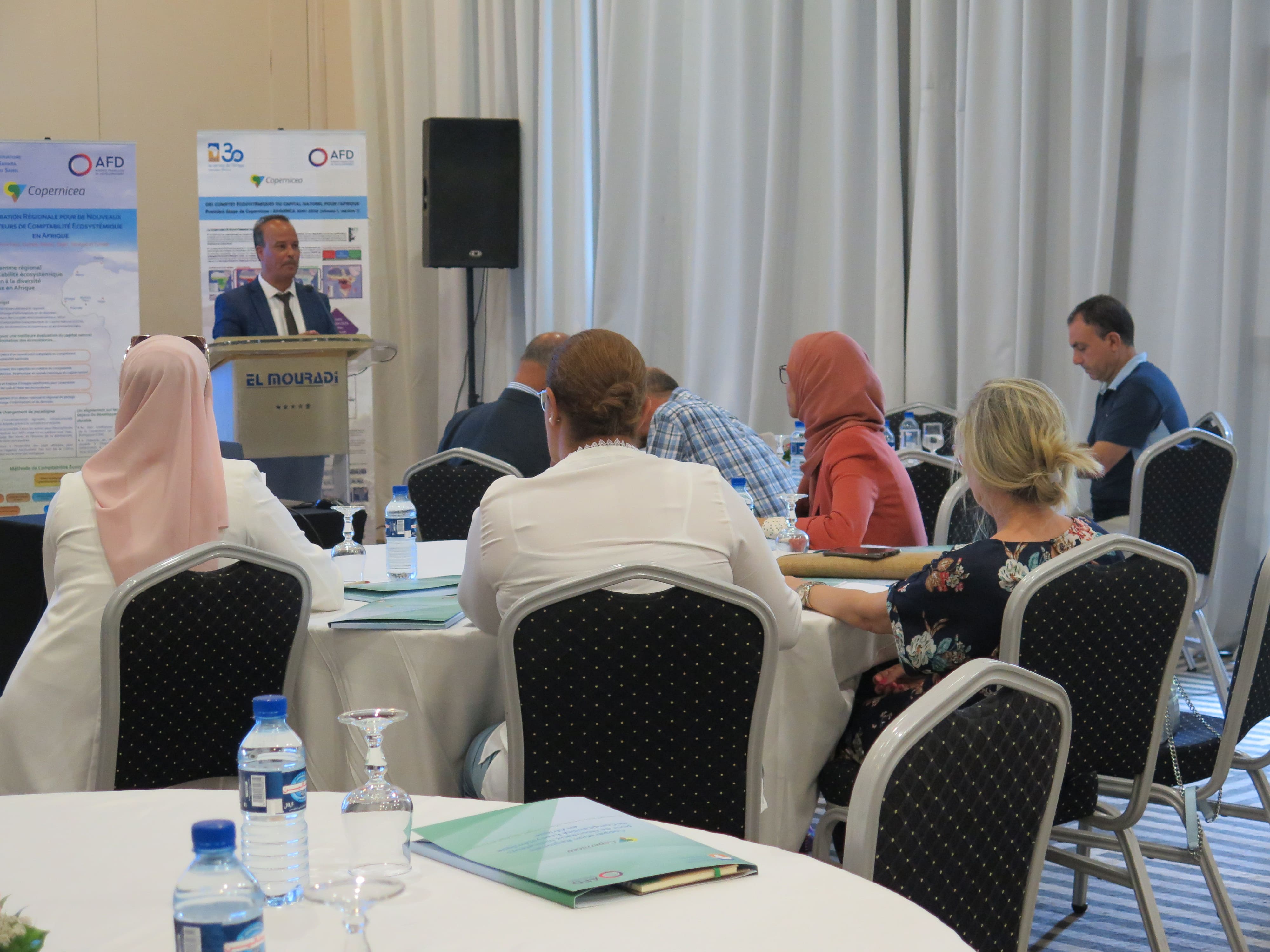 Copernicea : Atelier national d’échange et de validation des données de la Comptabilité Ecosystémique du Capital Naturel, Tunis, 29 juin 2022