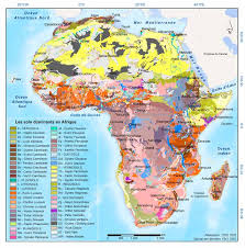 Carbone écosystémique